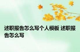 述职报告怎么写个人模板 述职报告怎么写 