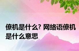 僚机是什么? 网络语僚机是什么意思