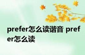 prefer怎么读谐音 prefer怎么读 