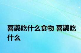 喜鹊吃什么食物 喜鹊吃什么 