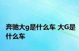 奔驰大g是什么车 大G是什么车