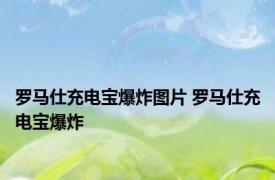 罗马仕充电宝爆炸图片 罗马仕充电宝爆炸 