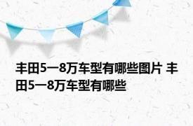 丰田5一8万车型有哪些图片 丰田5一8万车型有哪些