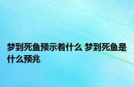 梦到死鱼预示着什么 梦到死鱼是什么预兆