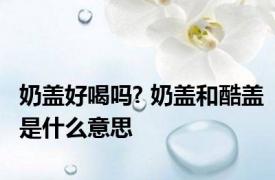 奶盖好喝吗? 奶盖和酷盖是什么意思