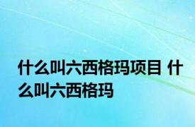 什么叫六西格玛项目 什么叫六西格玛