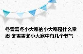 冬雪雪冬小大寒的小大寒是什么意思 冬雪雪冬小大寒中有几个节气