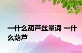 一什么葫芦丝量词 一什么葫芦 