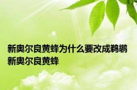 新奥尔良黄蜂为什么要改成鹈鹕 新奥尔良黄蜂 