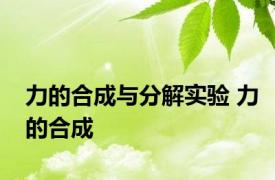 力的合成与分解实验 力的合成 