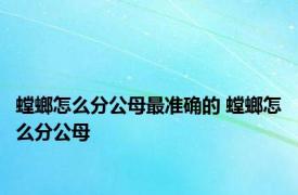 螳螂怎么分公母最准确的 螳螂怎么分公母 