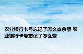 农业银行卡号忘记了怎么查余额 农业银行卡号忘记了怎么查