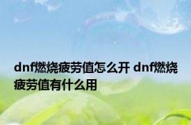 dnf燃烧疲劳值怎么开 dnf燃烧疲劳值有什么用