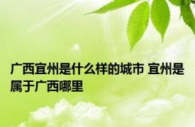 广西宜州是什么样的城市 宜州是属于广西哪里