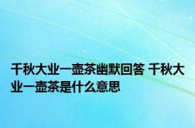 千秋大业一壶茶幽默回答 千秋大业一壶茶是什么意思 