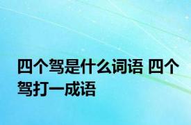 四个驾是什么词语 四个驾打一成语 