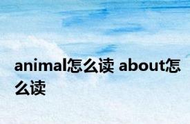 animal怎么读 about怎么读 