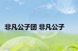 非凡公子团 非凡公子 