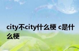 city不city什么梗 c是什么梗