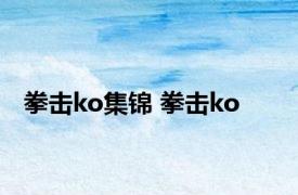 拳击ko集锦 拳击ko 