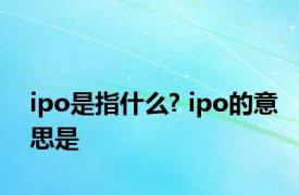 ipo是指什么? ipo的意思是