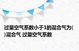 过量空气系数小于1的混合气为( )混合气 过量空气系数 