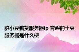 脏小豆骗赞服务器ip 育碧的土豆服务器是什么梗