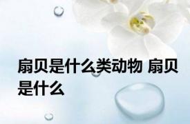 扇贝是什么类动物 扇贝是什么