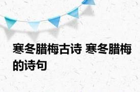 寒冬腊梅古诗 寒冬腊梅的诗句 