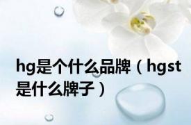 hg是个什么品牌（hgst是什么牌子）