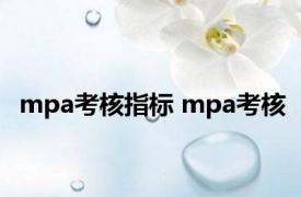 mpa考核指标 mpa考核 