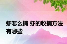 虾怎么捕 虾的收捕方法有哪些