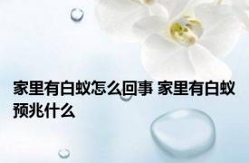 家里有白蚁怎么回事 家里有白蚁预兆什么