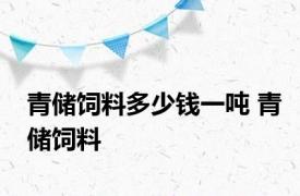 青储饲料多少钱一吨 青储饲料 