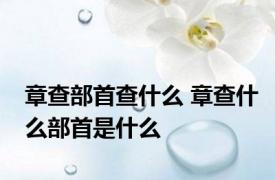 章查部首查什么 章查什么部首是什么