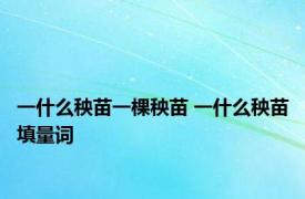 一什么秧苗一棵秧苗 一什么秧苗填量词 