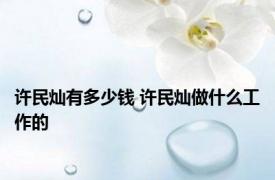 许民灿有多少钱 许民灿做什么工作的 