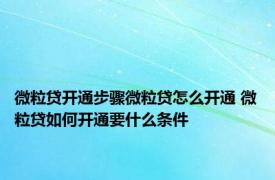 微粒贷开通步骤微粒贷怎么开通 微粒贷如何开通要什么条件