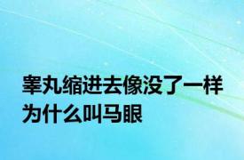 睾丸缩进去像没了一样 为什么叫马眼