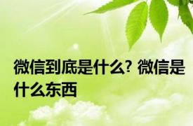 微信到底是什么? 微信是什么东西