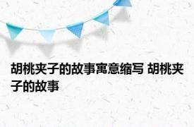 胡桃夹子的故事寓意缩写 胡桃夹子的故事 