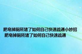 肥皂掉厕所堵了如何自己快速疏通小妙招 肥皂掉厕所堵了如何自己快速疏通