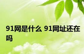 91网是什么 91网址还在吗 