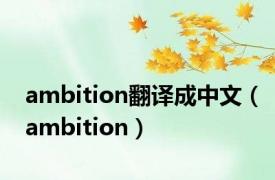 ambition翻译成中文（ambition）