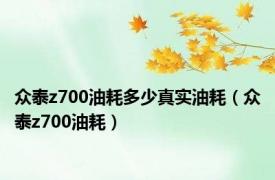 众泰z700油耗多少真实油耗（众泰z700油耗）