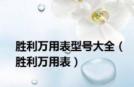 胜利万用表型号大全（胜利万用表）