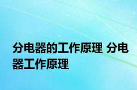 分电器的工作原理 分电器工作原理 