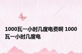 1000瓦一小时几度电费啊 1000瓦一小时几度电 