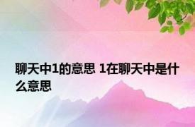 聊天中1的意思 1在聊天中是什么意思 