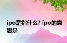 ipo是指什么? ipo的意思是